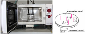 Plasma device by using a conventional microwave oven