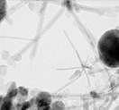 Tungsten oxide nanowires coated with amorphous carbon