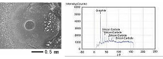 Polycrystalline Silicon Carbide